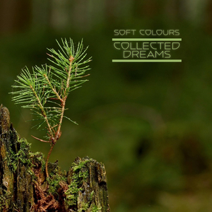 免费看淫人网视频
