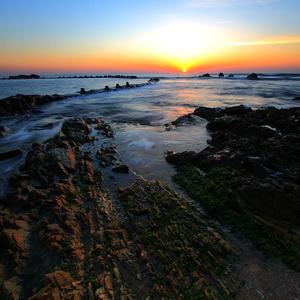 免费看淫人网视频
